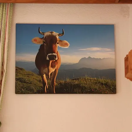 Апартаменты Sonnhaeusl Рамзау